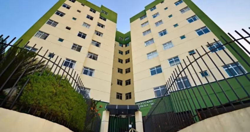 Lindo Apartamento 3 Dormitórios no Hauer