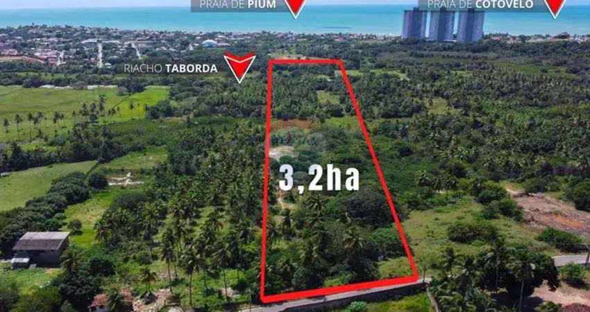 Área escriturada em pium 3,2 ha próximo à rodovia e às praias da região