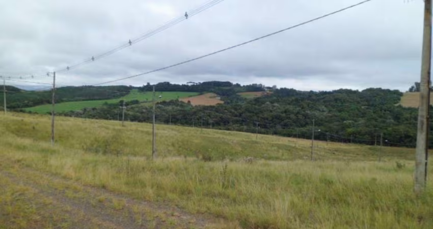 Terreno à venda, PIRIQUITOS, PONTA GROSSA - PR