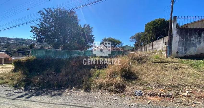 Terreno à venda, Nova Rússia, PONTA GROSSA - PR