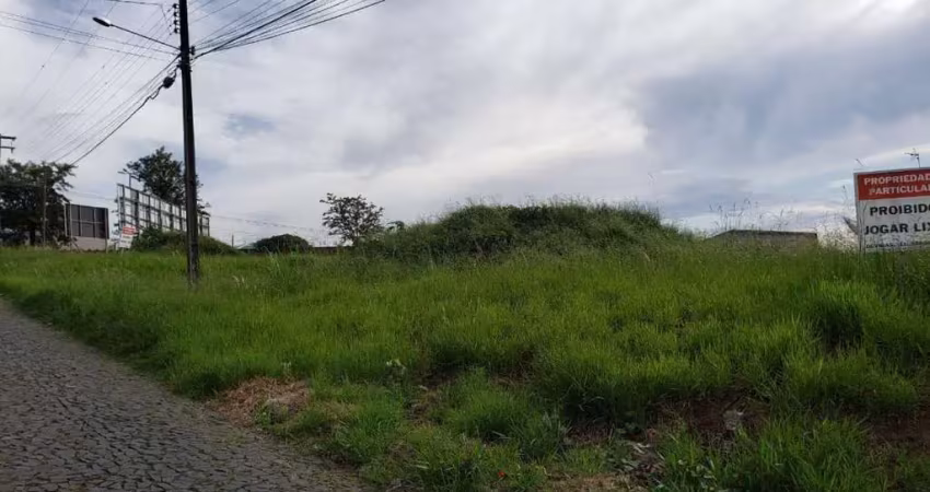 Terreno comercial para alugar no Centro, Ponta Grossa 
