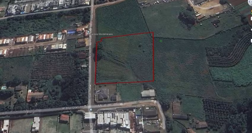 VENDA- TERRENO- COLÔNIA DONA LUIZA