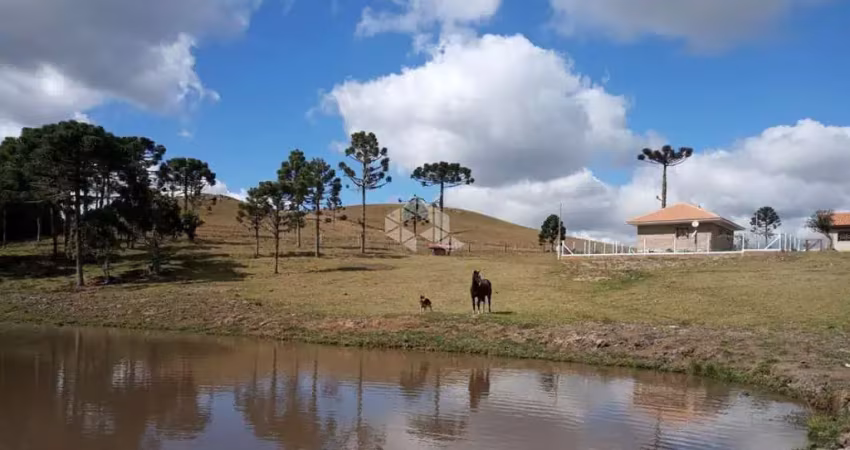 Fazenda com 2 dormitórios em são francisco de paula - rs, várzea do cedro à venda por r$ 2.460.000,00.