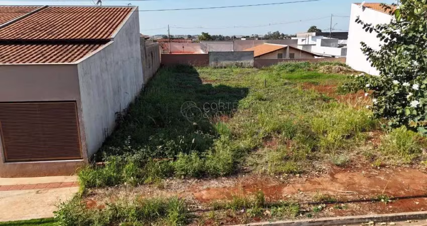 Terreno à venda na Rua Geraldo Castellano, Jardim São Paulo II, Londrina