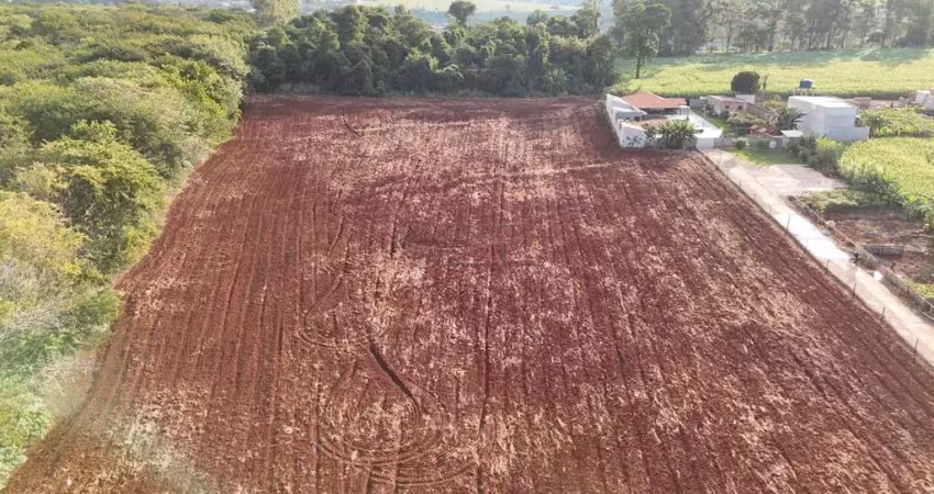 Terreno à venda na Avenida Pedro Boratin, 1, Eucaliptos, Londrina