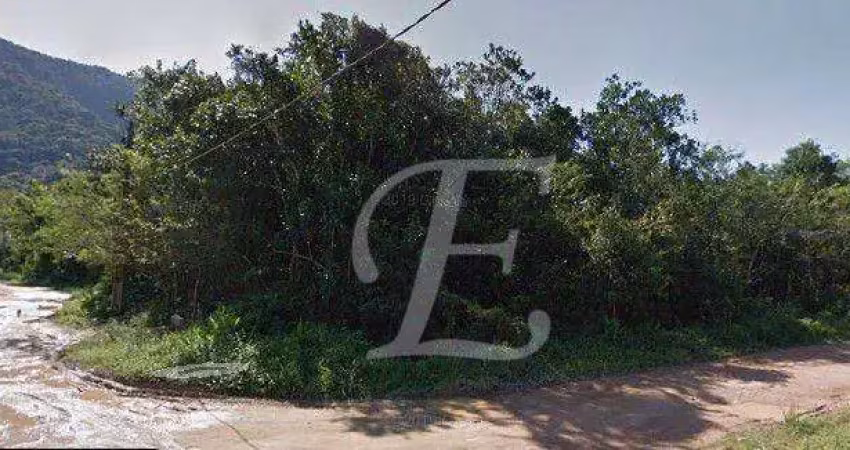 Terreno à venda, 557 m² por r$ 300.000,00 - lagoinha - ubatuba/sp