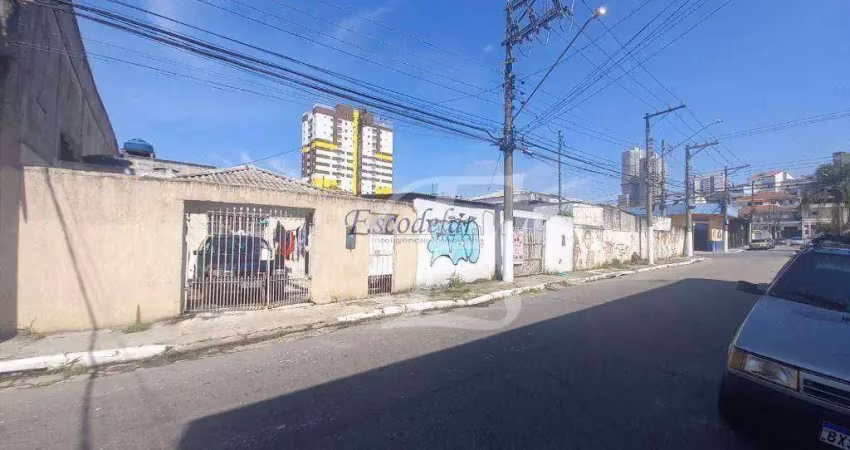 Terreno à venda, 350 m² por r$ 1.497.000,00 - vila palmeiras - são paulo/sp