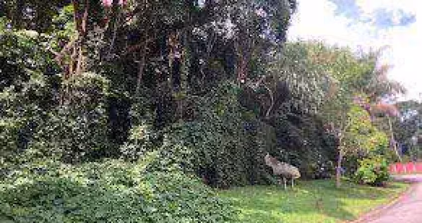 Terreno à venda, 896 m² por r$ 245.000,00 - parque petrópolis - mairiporã/sp