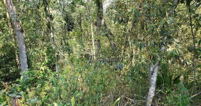 Terreno à venda, 1120 m² por r$ 150.000,00 - roseira - mairiporã/sp