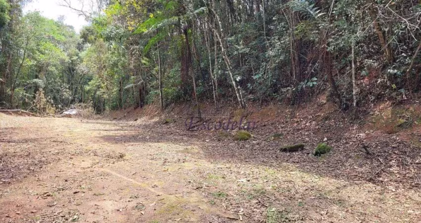 Terreno à venda, 1019 m² por r$ 160.000,00 - condomínio champs-élysée serra da cantareira - mairiporã/sp