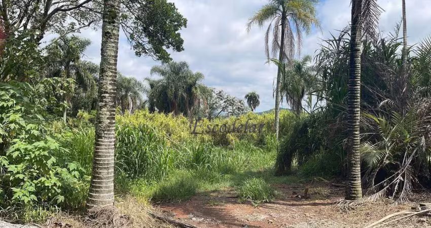 Área à venda, 20000 m² por r$ 1.500.000,00 - serra da cantareira - mairiporã/sp