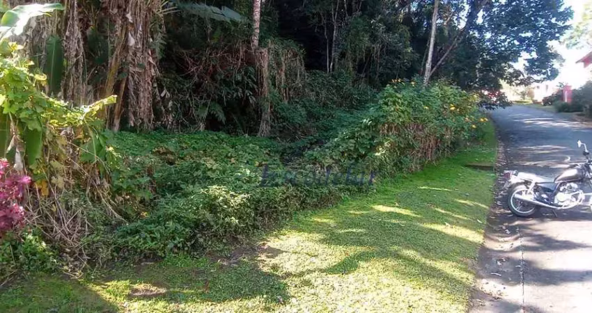 Terreno à venda, 1462 m² por r$ 195.000,00 - serra da cantareira - mairiporã/sp