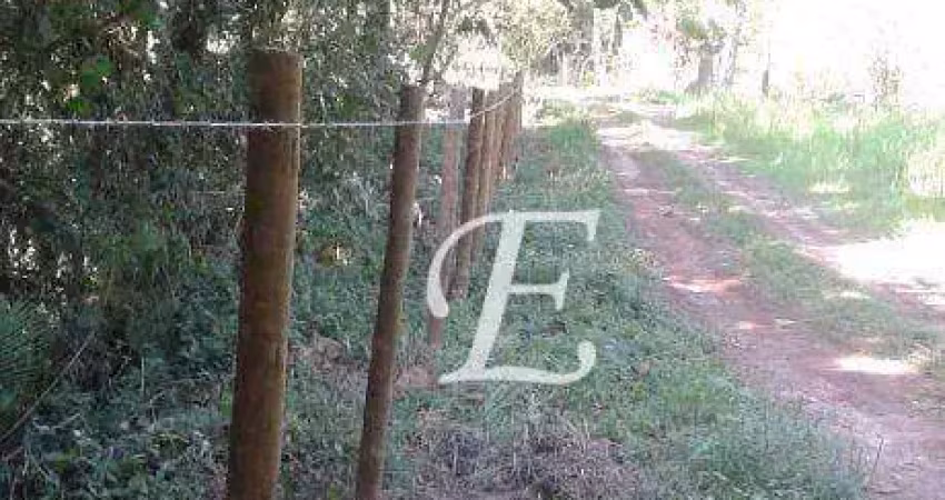 Terreno à venda, 1000 m² por r$ 230.000,00 - roseira - mairiporã/sp