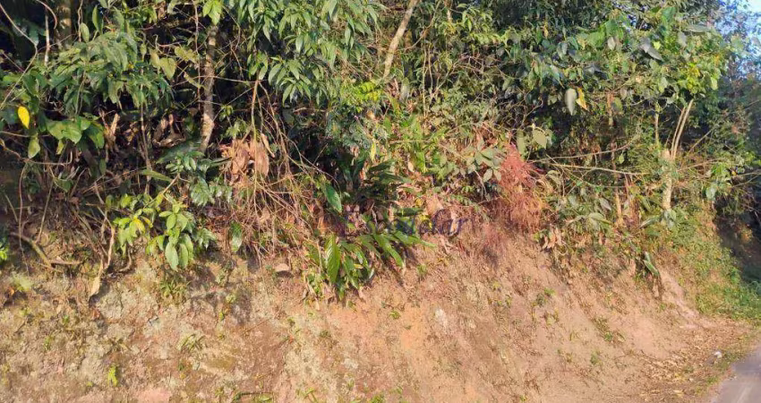 Terreno à venda, 1100 m² por r$ 130.000,00 - roseira - mairiporã/sp