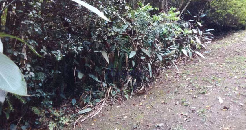 Terreno à venda, 919 m² por r$ 160.000,00 - parque petrópolis - mairiporã/sp