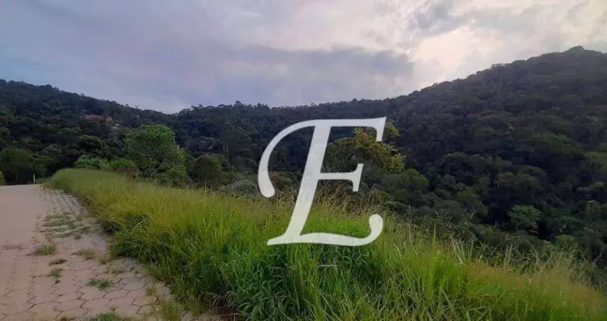 Terreno à venda, 1036 m² por r$ 284.000,00 - roseira - mairiporã/sp