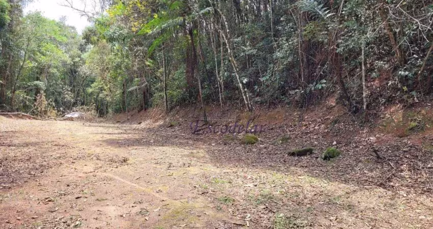 Terreno à venda, 1019 m² por r$ 160.000,00 - serra da cantareira - mairiporã/sp