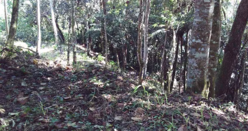 Terreno à venda, 1789 m² por r$ 496.000,00 - serra da cantareira - mairiporã/sp