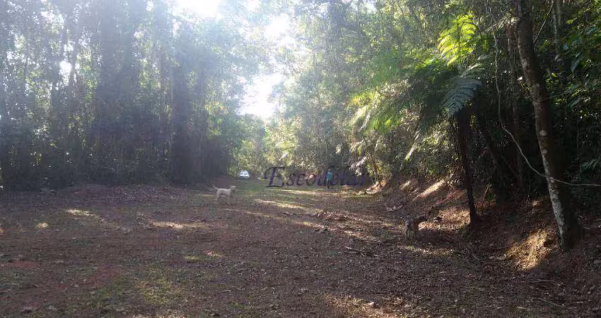 Terreno à venda, 1120 m² por r$ 230.000,00 - serra da cantareira - mairiporã/sp
