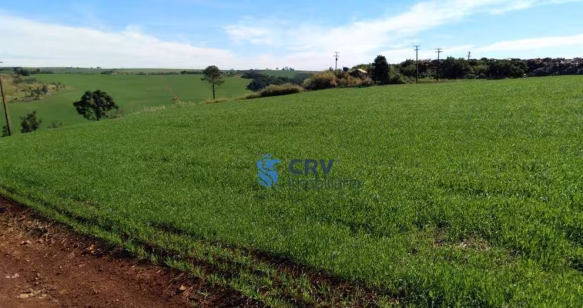 Sítio à venda, 168975 m² por R$ 3.000.000,00 - Jardim Bandeirantes - Arapongas/PR