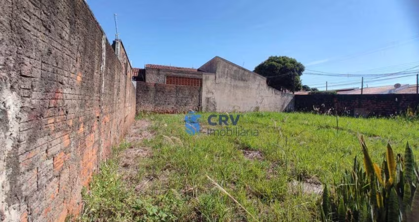 Terreno para alugar, 496 m² por R$ 1.300,00/mês - Coliseu - Londrina/PR