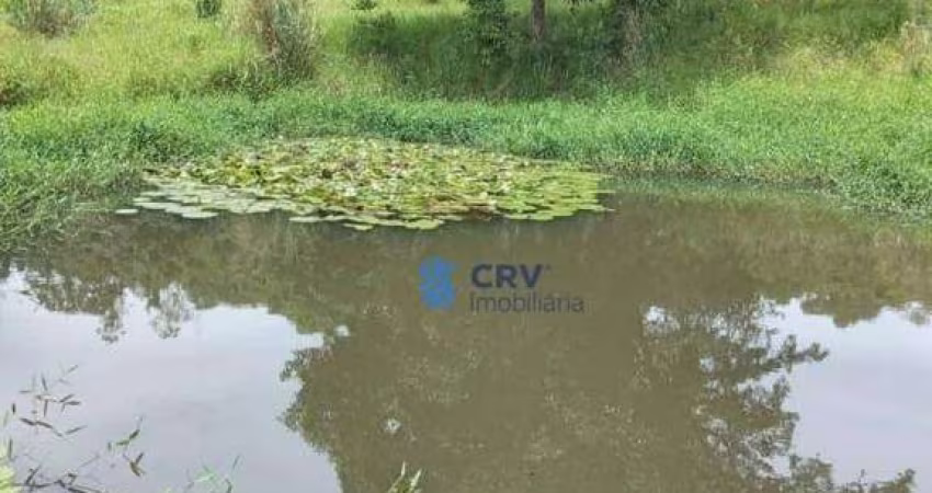 Chácara à venda, 22945 m² por R$ 400.000,00 - Maravilha - Londrina/PR