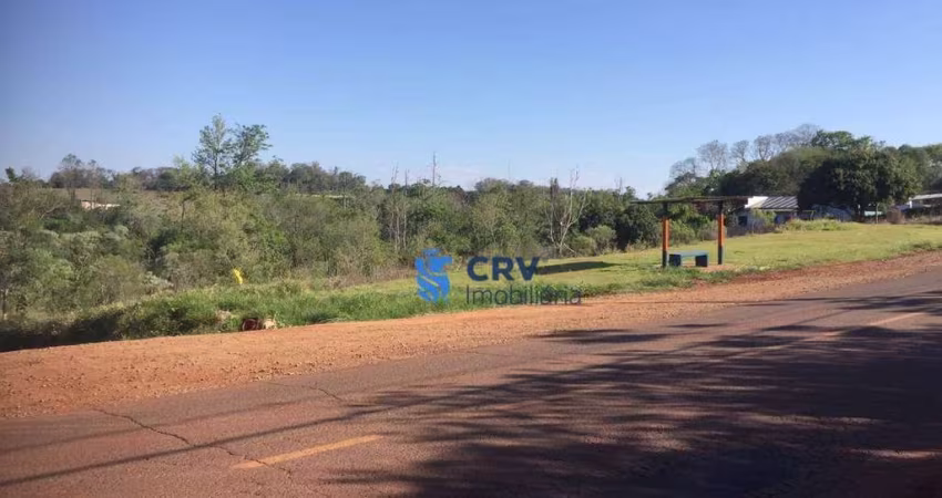 Terreno à venda, 8000 m² por R$ 4.000.000,00 - Gleba Palhano - Londrina/PR