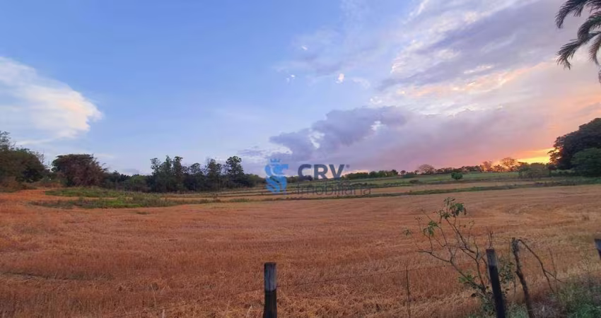 Sítio à venda, 48400 m² por R$ 1.995.000,00 - Cidade Industrial I - Londrina/PR