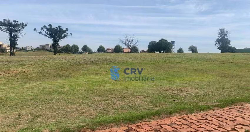 Terreno à venda, 1402 m² por R$ 2.800.000,00 - The Euro Royal Residence &amp; Resort - Londrina/PR
