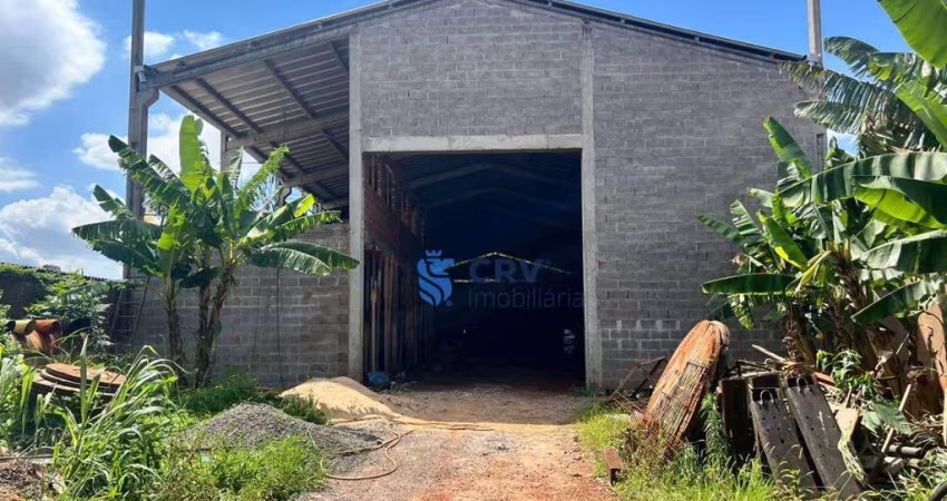 Barracão, 750 m² - venda por R$ 2.900.000,00 ou aluguel por R$ 20.000,00/mês - Bandeirantes - Londrina/PR