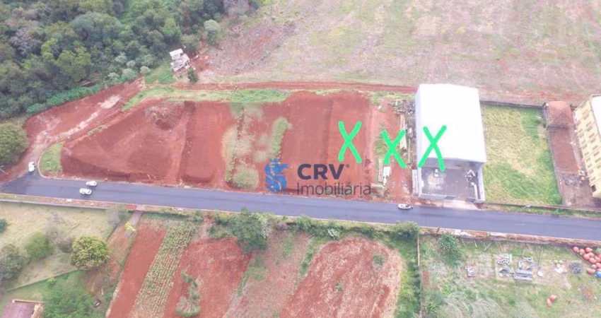 Barracão, 2400 m² - venda por R$ 12.000.000,00 ou aluguel por R$ 75.000,00/mês - Cilo 2 - Londrina/PR