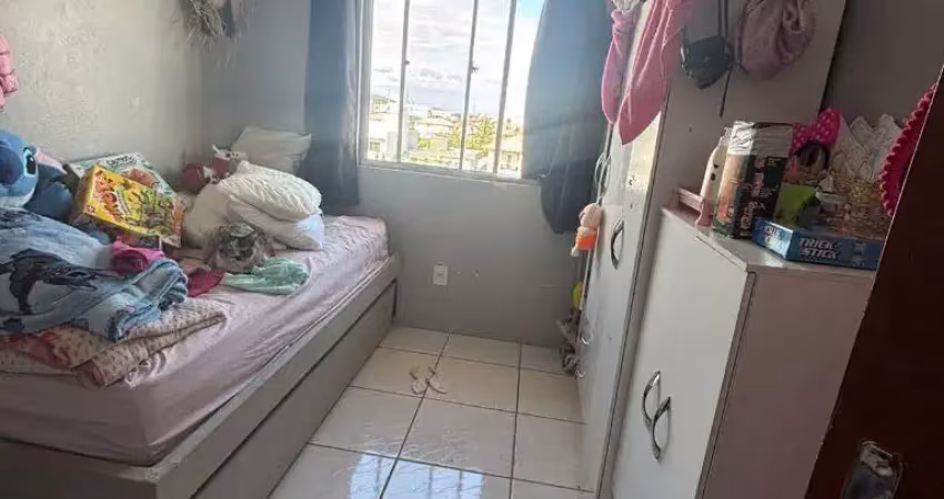 Apartamento com 2 quartos à venda no pacheco, palhoça.