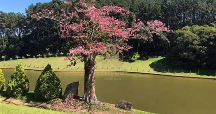 Chácara / sítio com 7 quartos à venda na Avenida Domingos Squizato, 193, Campo Largo, Jarinu