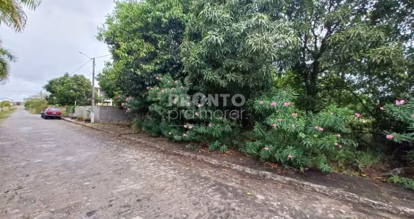 Excelente lote localizado no loteamento chácaras de porto, localizado próximo à porto de galinhas.