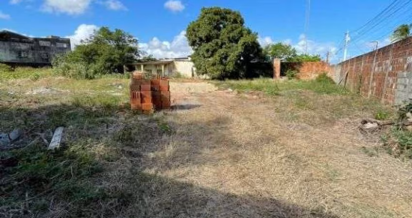 Terreno à venda, 2.400 m² por R$ 720.000 - Nossa Senhora da Apresentação - Natal/RN
