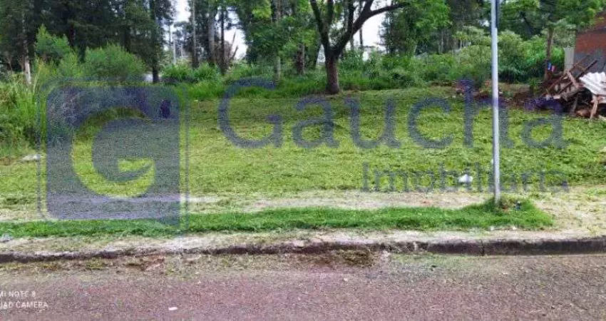 Terreno à venda no Morumbi, Cascavel 