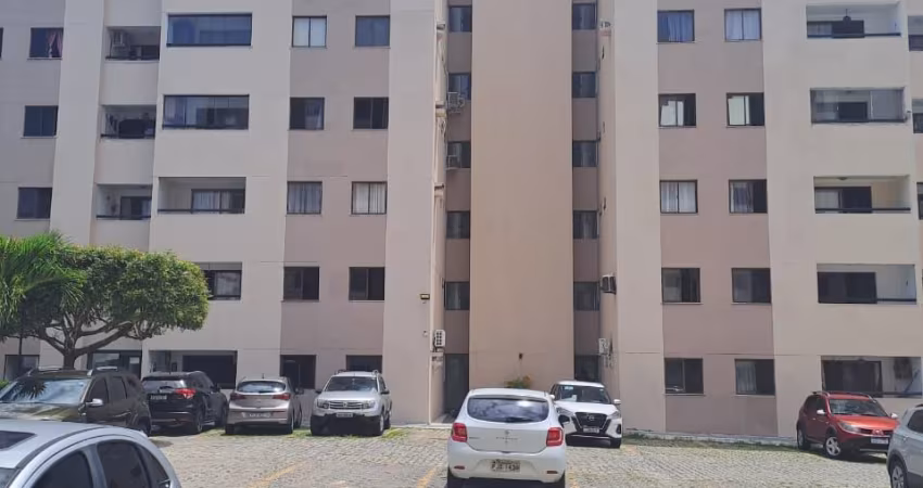 BRISAS  DO IPITANGA