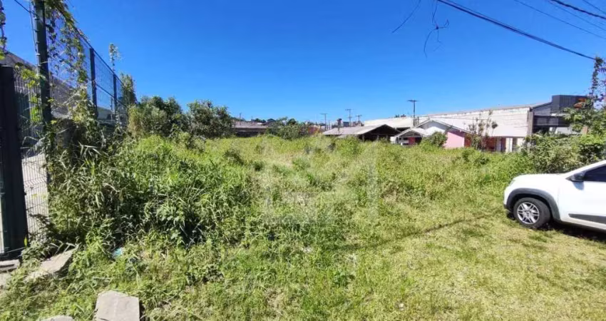 Terreno comercial para alugar na Rodovia RS-020, Planaltina, Gravataí