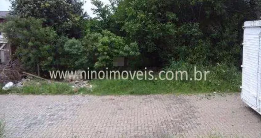 Terreno comercial à venda na Rua Clara Nunes, Jardim Betânia, Cachoeirinha