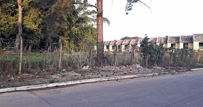 Terreno de 300 m² para Locação no Bairro São Luiz - Versatilidade e Excelente Localização