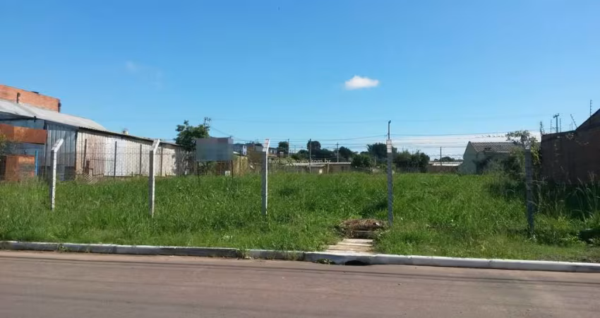 Terreno à Venda e Aluguel em Localização Estratégica - Gravataí