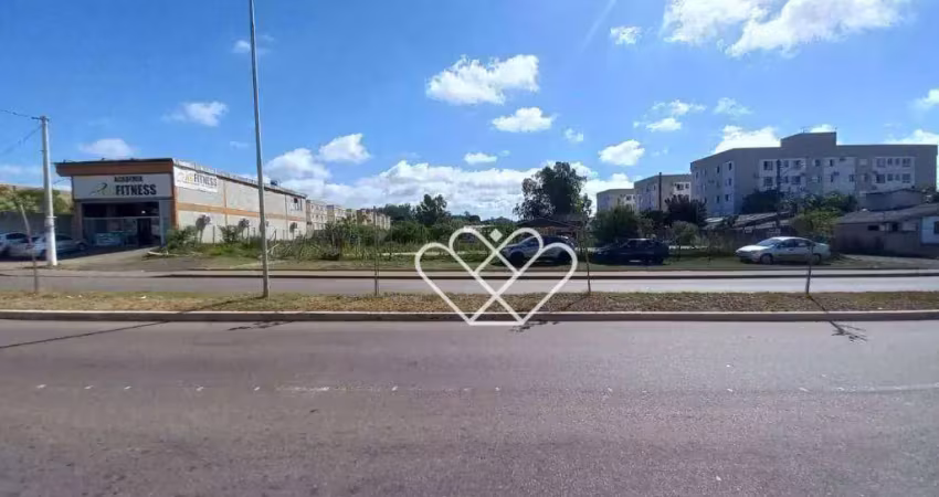 Terreno amplo para realizar seu projeto dos sonhos!