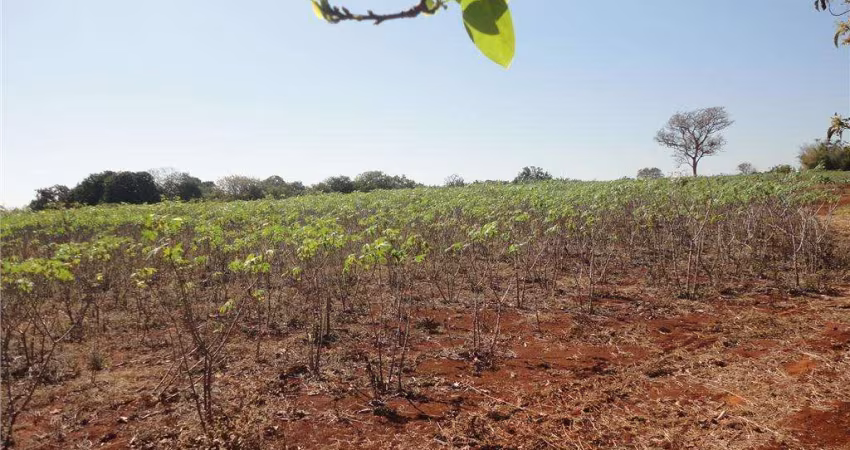 Área à venda, 213800 m² por R$ 50.000.000,00 - Betel - Paulínia/SP