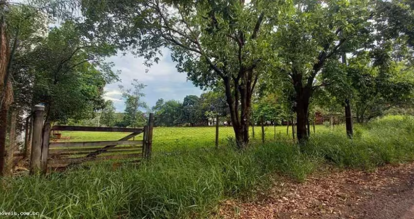 Chácara para Venda em Regente Feijó, Chácara Das Paineiras
