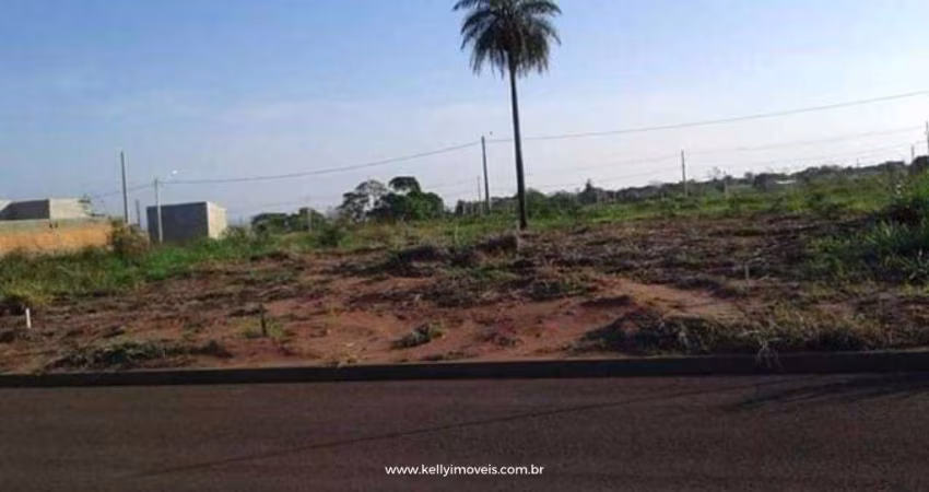 Terreno para Venda em Presidente Epitácio, Centro