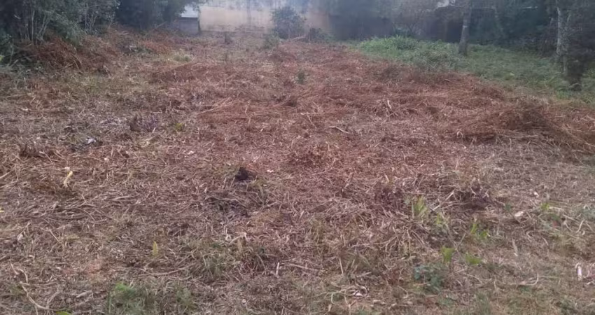 Terreno à venda na Avenida Flacides Ferreira, 1066, Balneário Marambaia, Itanhaém