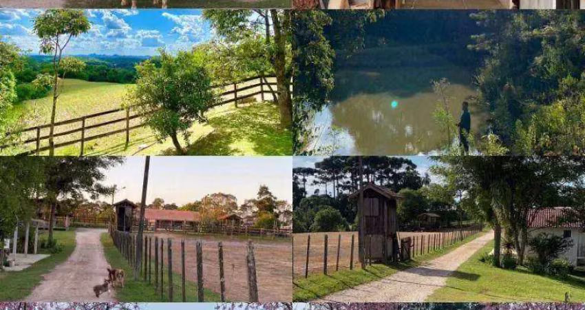 Chácara com 6 dormitórios à venda, 96800 m² por r$ 2.990.000,00 - marmeleiro - almirante tamandaré/pr