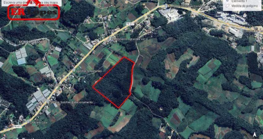 Chácara à venda, 76794 m² por r$ 1.450.000,00 - poço negro - colombo/pr