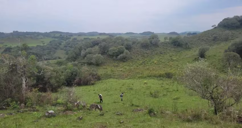 Terreno à venda em Criúva, Caxias do Sul 