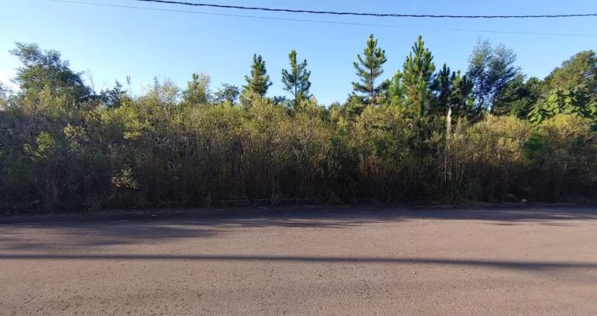 Terreno à venda na Bela Vista, Caxias do Sul 